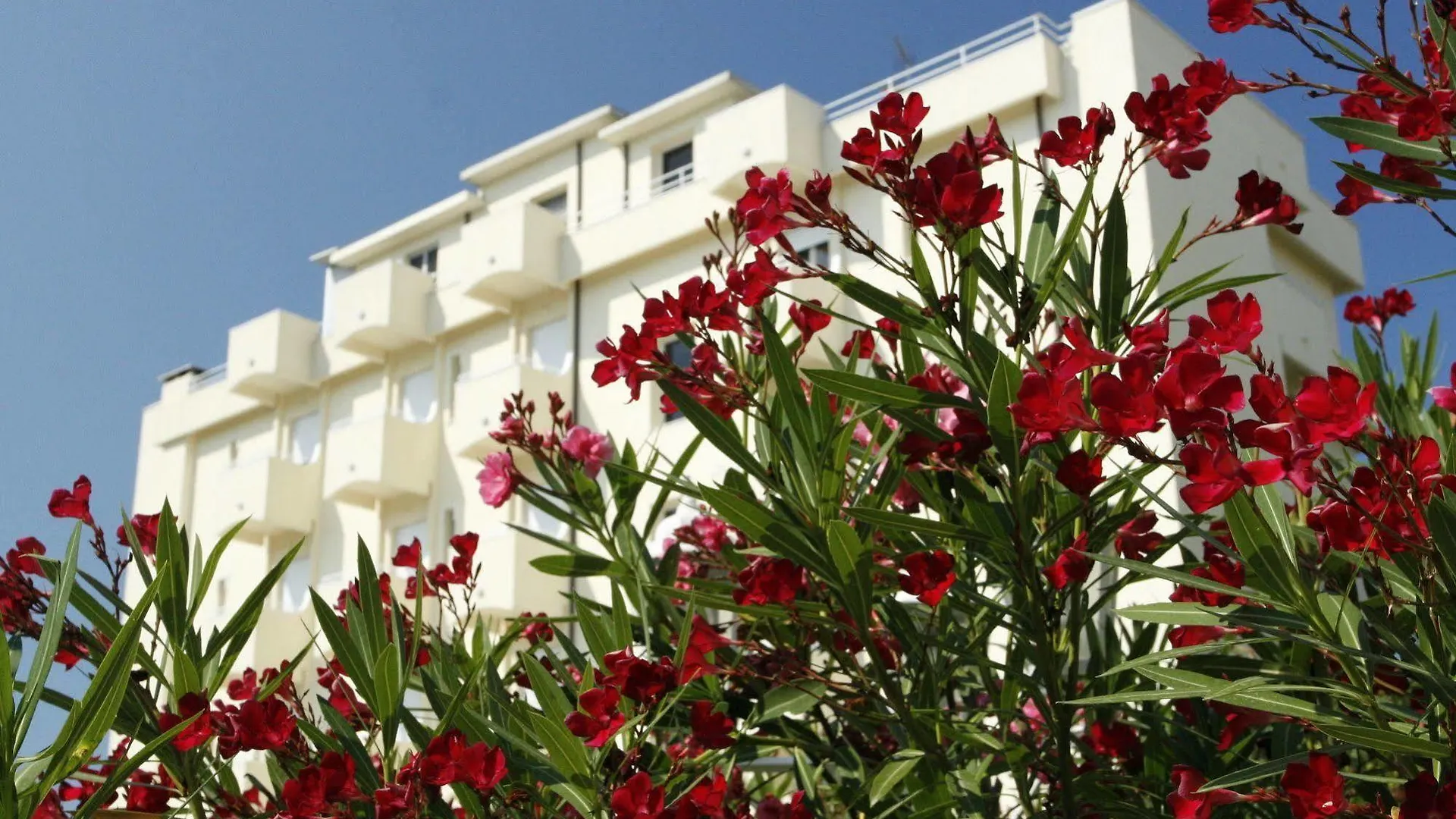Aparthotel Hotel Sport & Residenza Cesenatico