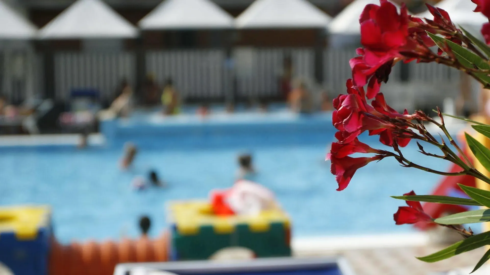 Hotel Sport & Residenza Cesenatico Aparthotel